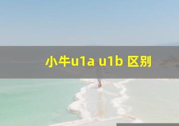 小牛u1a u1b 区别